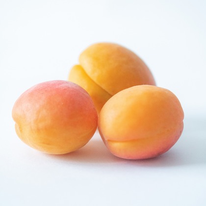 千葉格が撮影した「:albumName」の写真