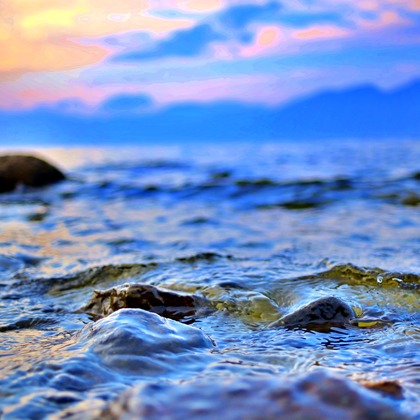 TNA(To the Next Age)が撮影した「:albumName」の写真