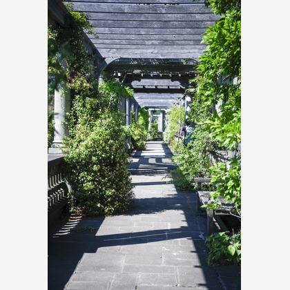 Lucky Sliver Sixpenceが撮影した「プラン名：Romantic Park(ロケーション参考写真）」の写真