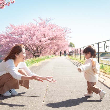ゆのみふぉとが出張撮影した自然の中の人々, 手をつないで, 友情などが写った「桜とお写真」の家族写真