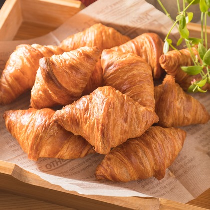 辻本俊輔が撮影した「:albumName」の写真