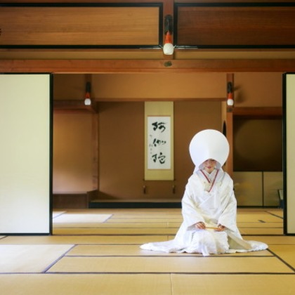 ピュアアーティス(小島 靖雄)が撮影した「:albumName」の写真