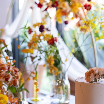 杉安写真事務所が撮影した「:albumName」の写真