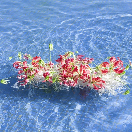 A&K STUDIO CO.,LTD.（上野 晃嗣）が撮影した「:albumName」の写真