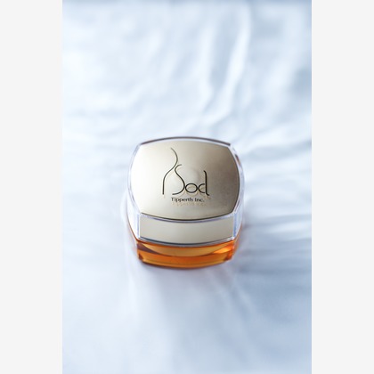 冨島　敬宏が撮影した「:albumName」の写真