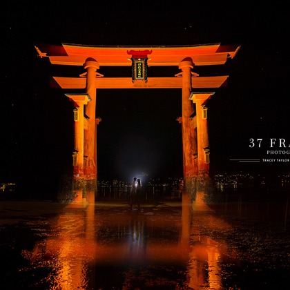 37 Frames Photographyが撮影した「フォトギャラリー」の写真