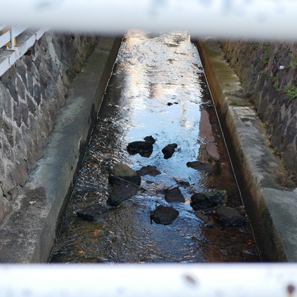 加藤が出張撮影した「下書き」の家族写真