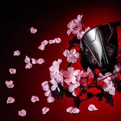 写真屋ごんちゃんが撮影した「:albumName」の写真