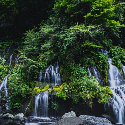 内藤駿介が撮影したその他/商品/物撮りの写真