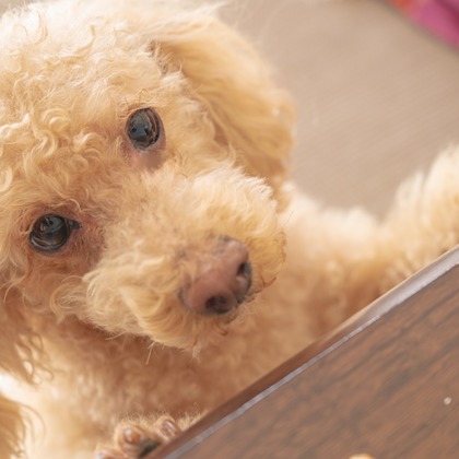 高木勇斗が撮影したイベント/スナップ撮影の写真
