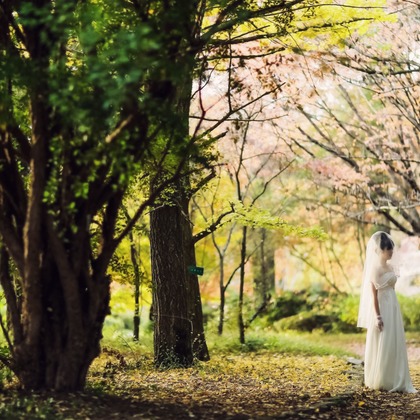 elle pupaが撮影した「:albumName」の写真