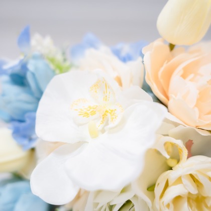 埜下詩織が撮影したウェディングや家族、ビジネスの写真