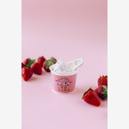 HIBI綴じ写真が撮影した「:albumName」の写真