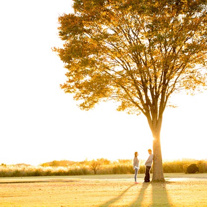 キタノフォトオフィス (北野尚史)が撮影した「:albumName」の写真