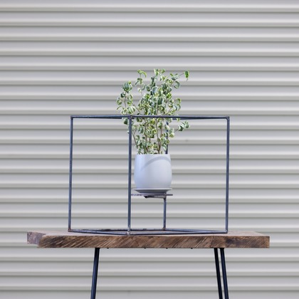 梅田　紫邑が撮影した商品/物撮りの写真