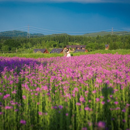 Wedding, Bridal Photos taken by studio HATOYA