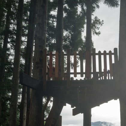 山﨑さと子が撮影したウェディングや家族、ビジネスの写真