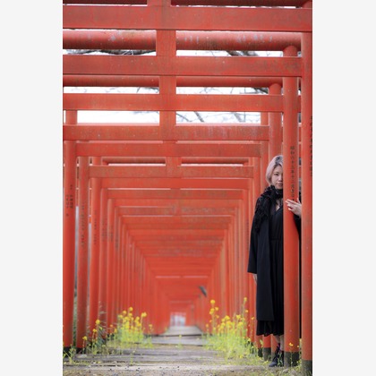 ならもとかずやが撮影した「:albumName」の写真