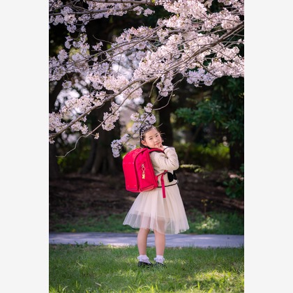 池田尚史が撮影した「:albumName」の写真