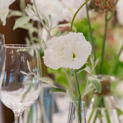 大橋　道裕が撮影した「:albumName」の写真