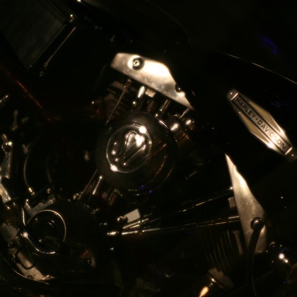 管野　利が撮影したウェディングや家族、ビジネスの写真