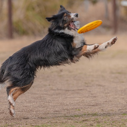 あなたの写真館が撮影した「:albumName」の写真