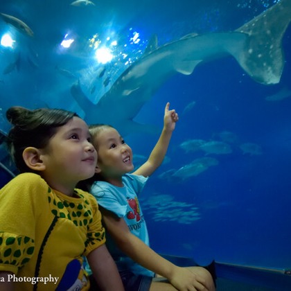 名畑文巨写真事務所が撮影した「:albumName」の写真