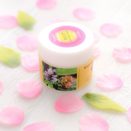 なかがわさとみが撮影した「:albumName」の写真