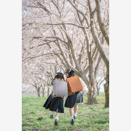 Memoriaが撮影した「:albumName」の写真