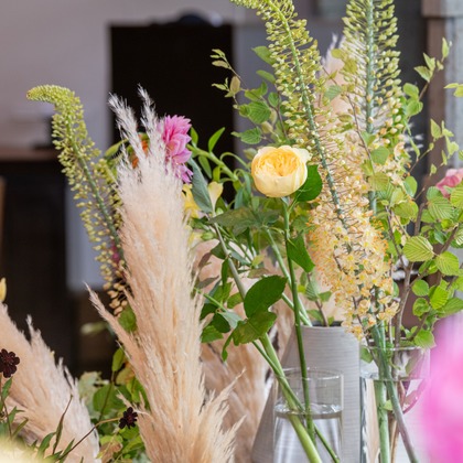 スタジオファンタスが撮影した「:albumName」の写真