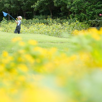 tomizoが撮影した「:albumName」の写真