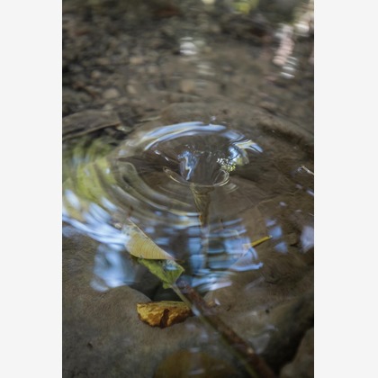 ポートレート沖縄が撮影した人物撮影の写真