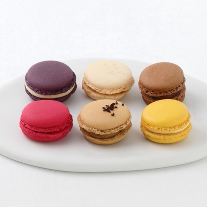 森安　照が撮影した「:albumName」の写真