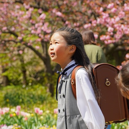 スタジオ　まるが撮影した「:albumName」の写真