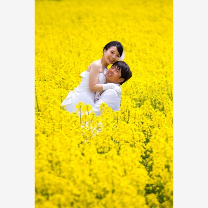 B'point photoが撮影した「フォトギャラリー」の写真