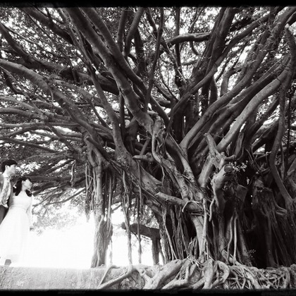 今泉真也が撮影した「:albumName」の写真