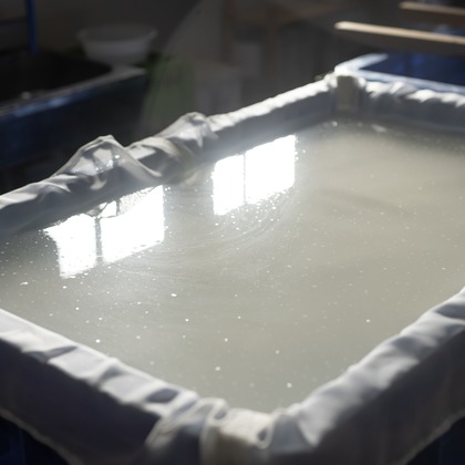 SHO HASEGAWAが撮影したその他/人物撮影の写真