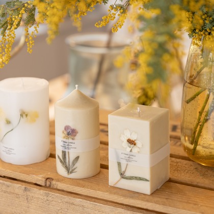 石田誠写真事務所が撮影した「:albumName」の写真