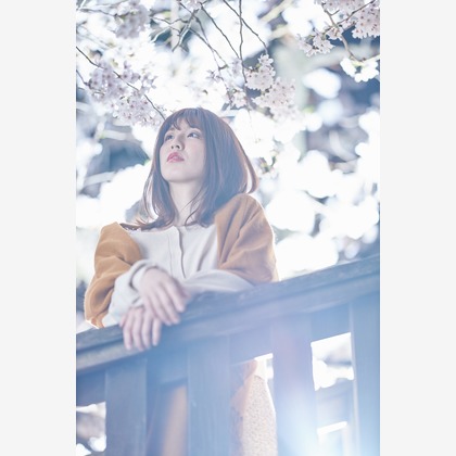 大阪フォトファクトリーが撮影した「:albumName」の写真