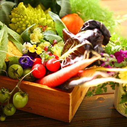 トライアングル.フォトが撮影した「:albumName」の写真