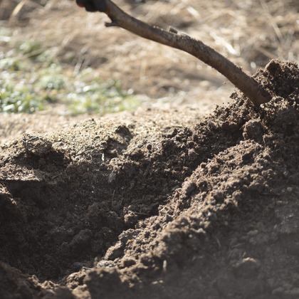 SHO HASEGAWAが撮影したその他/人物撮影の写真