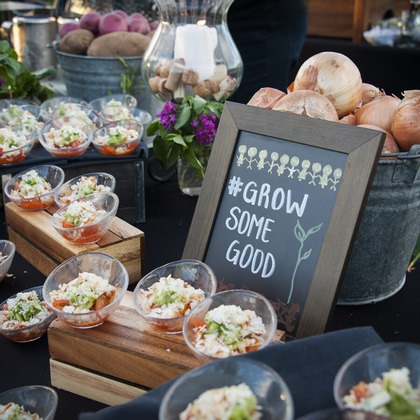 Willow Photoが撮影したウェディングや家族、ビジネスの写真