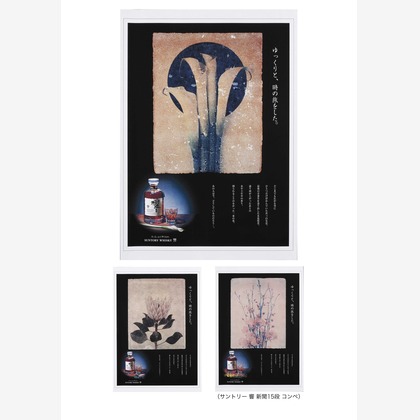 y-photoが撮影した「料理 メニュー」の写真