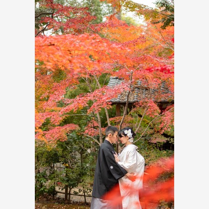 saruco(岩崎寿）が撮影した「:albumName」の写真