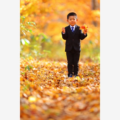 稲蔭一道が出張撮影したビューエグの庭, フラッシュ撮影, 自然の風景などが写った「家族写真、ロケーションフォト」の家族写真