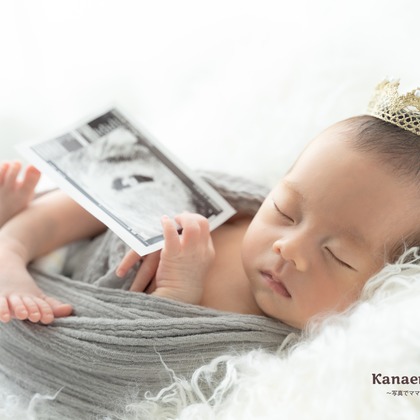 Kanaeruが出張撮影したニューボーンフォト(新生児写真), 毛皮, 赤ちゃん/ベビーが写ったスタジオ撮影の写真