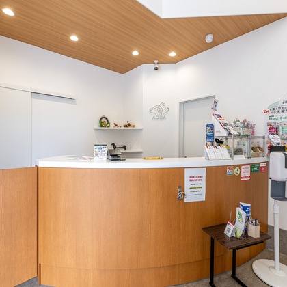 吉田佳央が撮影した「:albumName」の写真