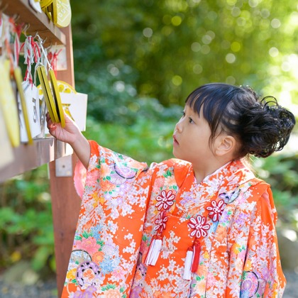 アラタンホヤガが撮影した「:albumName」の写真