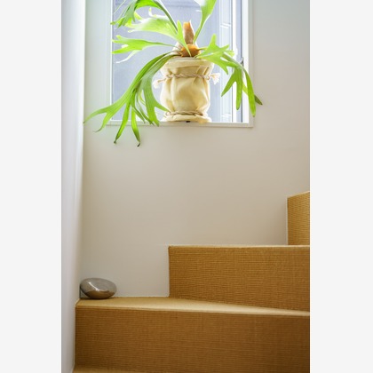 合同会社ワンダースリーが撮影した「:albumName」の写真