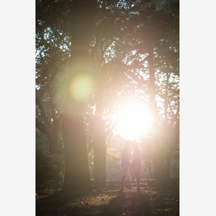 Hananophotographyが撮影したウェディングや家族、ビジネスの写真